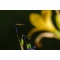 Tamron 150-500mm f/5-6.7 Di III VXD Lens compatible with Fujifilm X (A057X) - view 9