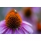 Tamron 90mm f2.8 Di III Macro VXD Lens compatible with Sony E (F072) - view 7