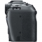 Canon EOS R8 Mirrorless Camera with RF-S 18-150mm f/3.5-6.3 IS STM Lens - view 6